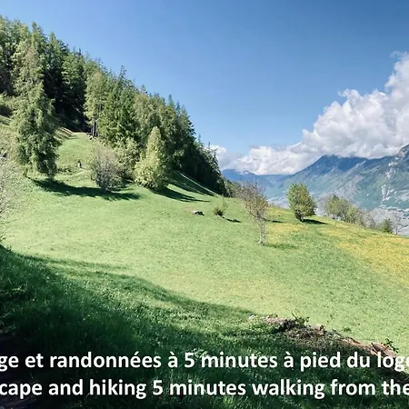 Le Cocon Appartamento Nendaz